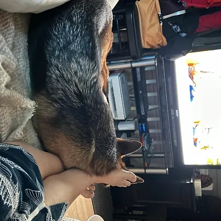 Chalet Sauna In The Heart Of Nuuksio National Park - Moekki Nuuksiossa Espoo