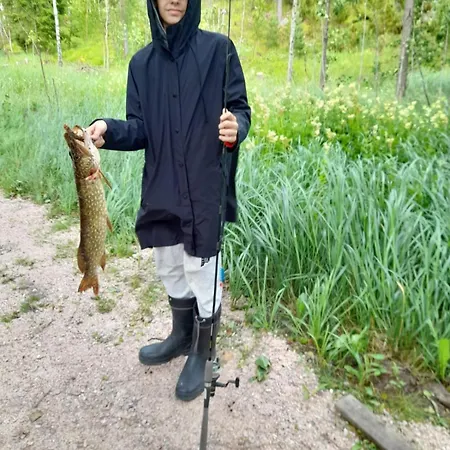 Lomamökit Sauna In The Heart Of Nuuksio National Park - Nuuksiossa *