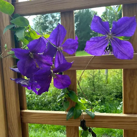 Sauna In The Heart Of Nuuksio National Park - Nuuksiossa * Espoo