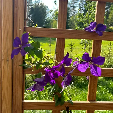 Chalet Sauna In The Heart Of Nuuksio National Park - Moekki Nuuksiossa *